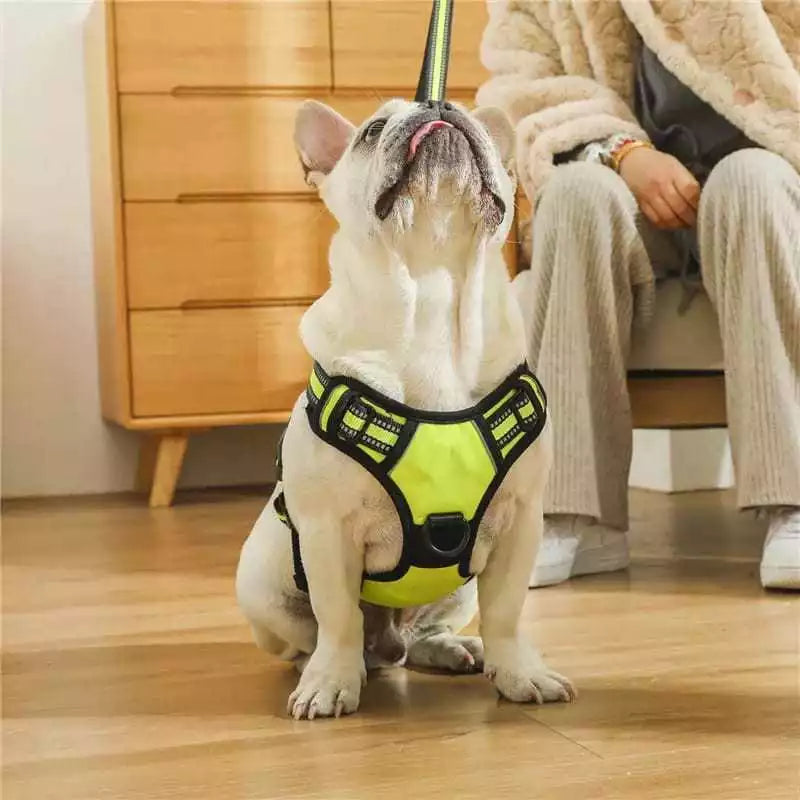 Peitoral Reforçado com Guia para Cachorros